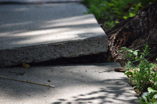 Cost of Sidewalk Leveling in Allentown